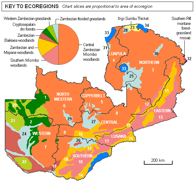 File:Map of Ecoregions of Zambia.PNG