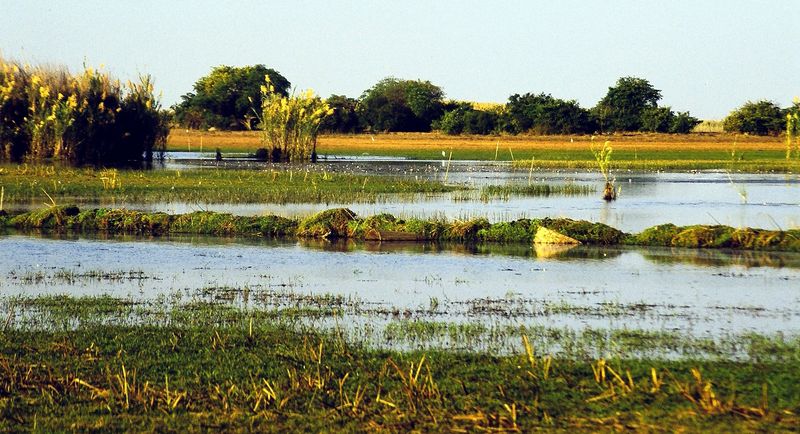 File:Bangweulu Swamps.jpg